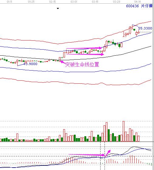 片仔癀 600436 macd走勢.jpg
