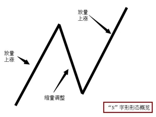 N字形形態.jpg
